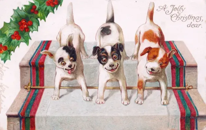 Framed Print : Three dogs on a Christmas postcard Framed Print : Three dogs on a Christmas postcard