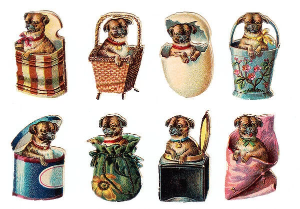 Dogs in containers on eight Victorian scraps
