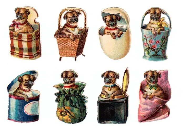 Framed Print : Dogs in containers on eight Victorian scraps Framed Print : Dogs in containers on eight Victorian scraps