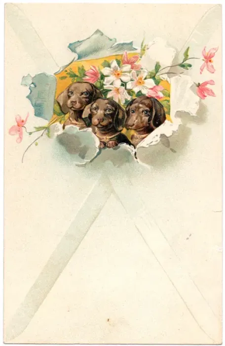 Framed Print : Three dogs with flowers on a greetings postcard Framed Print : Three dogs with flowers on a greetings postcard