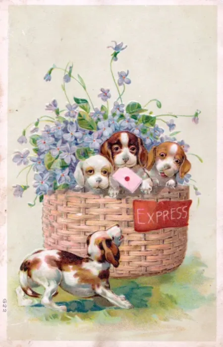 Framed Print : Four dogs with flowers on a greetings postcard Framed Print : Four dogs with flowers on a greetings postcard