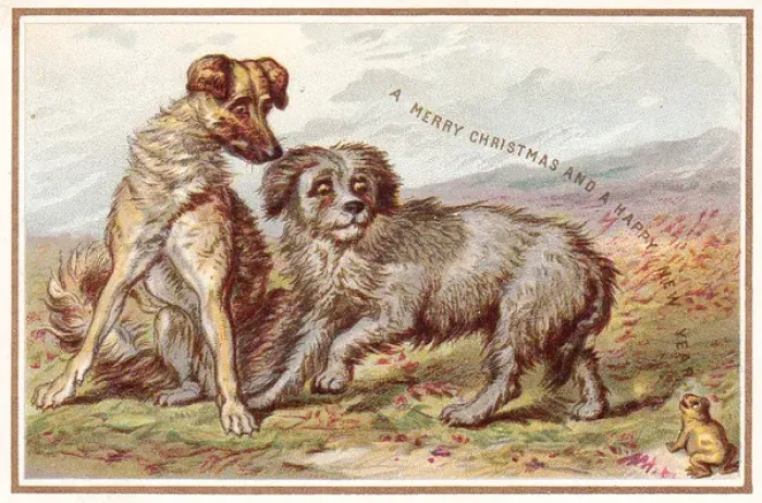 Framed Print : Two dogs and frog on a Christmas and New Year card Framed Print : Two dogs and frog on a Christmas and New Year card