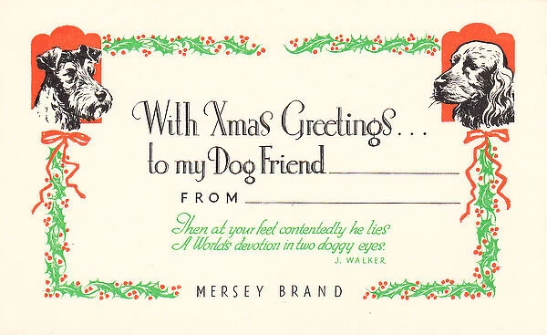 Two dogs with holly on a Christmas card