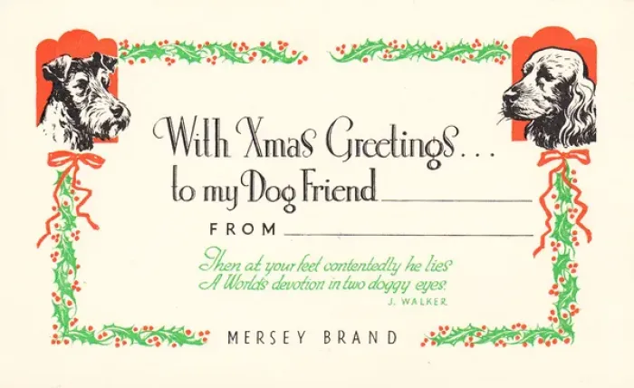 Framed Print : Two dogs with holly on a Christmas card Framed Print : Two dogs with holly on a Christmas card