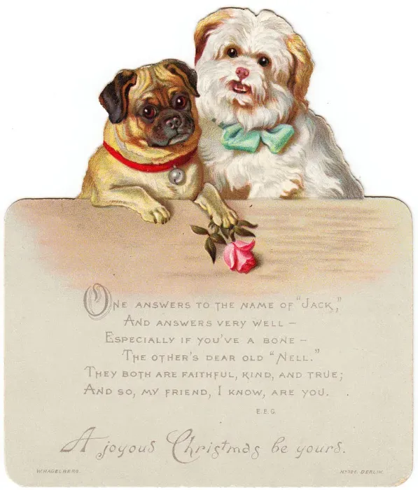 Framed Print : Two dogs, Jack and Nell, on a cutout Christmas card Framed Print : Two dogs, Jack and Nell, on a cutout Christmas card