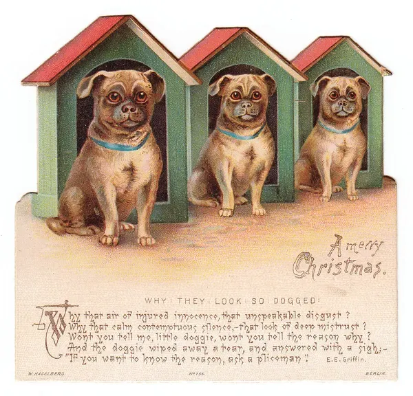 Three dogs with kennels on a Christmas card available as Framed Prints