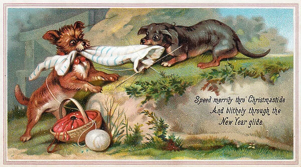 Two dogs with knitting on a Christmas and New Year card