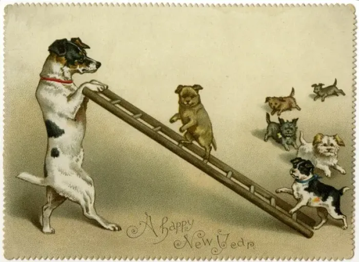 Framed Print : Dogs and Ladder Framed Print : Dogs and Ladder
