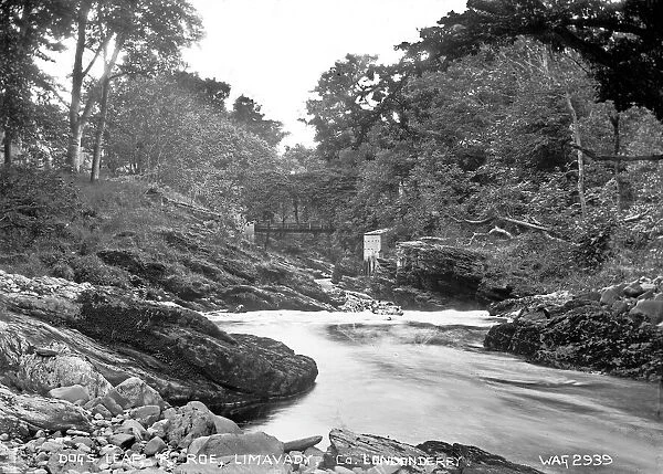 Dogs Leap, R. Roe, Limavady, Co. Londonderry