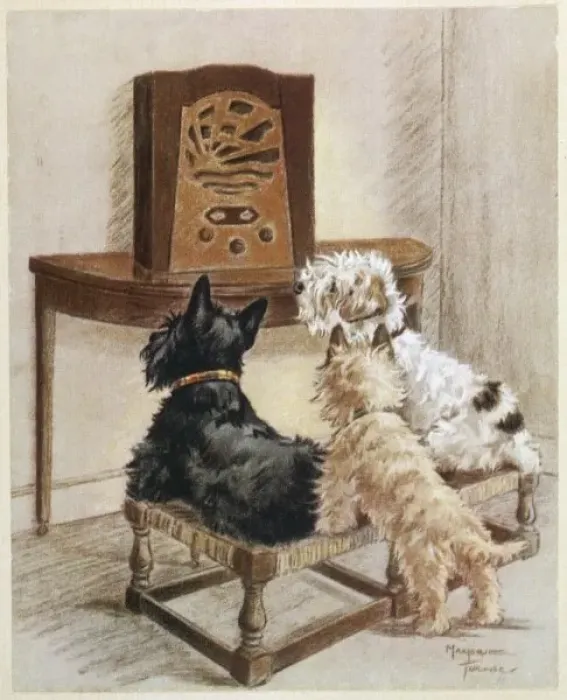 Framed Print : Dogs Listen to Radio Framed Print : Dogs Listen to Radio