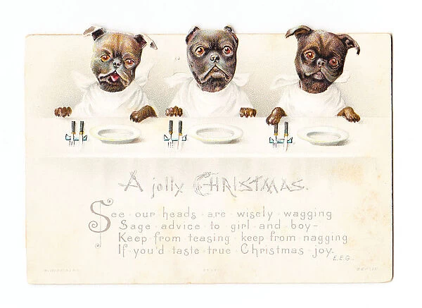 Three dogs with moveable heads on a Christmas card
