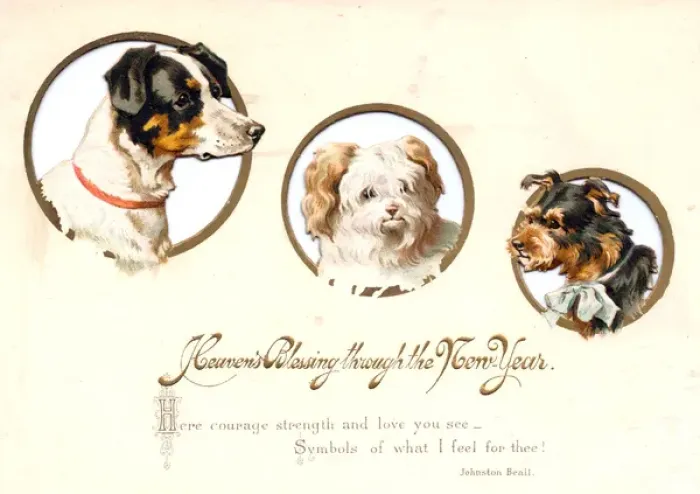 Framed Print : Three dogs on a New Year card Framed Print : Three dogs on a New Year card