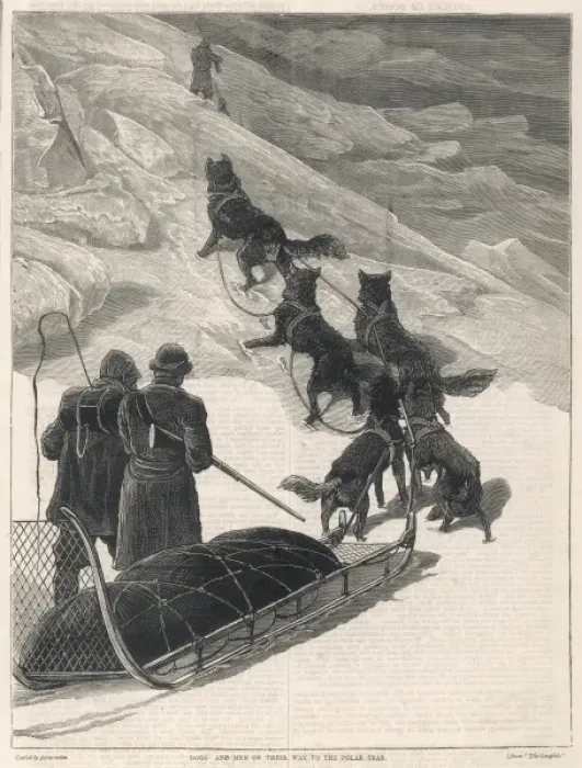 Framed Print : Dogs to North Pole Framed Print : Dogs to North Pole