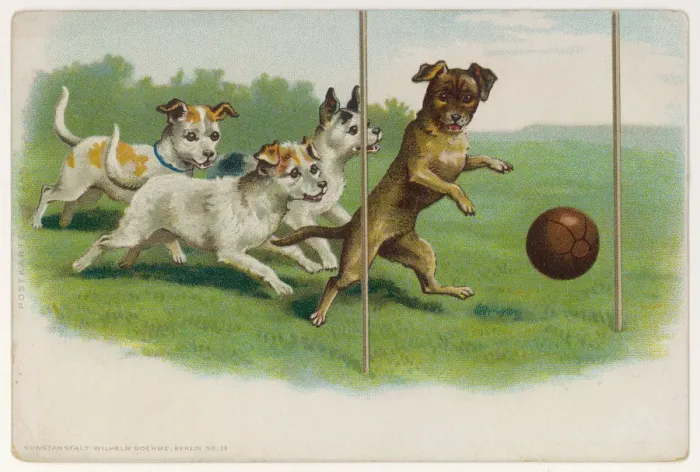 Framed Print : Dogs Playing Football Framed Print : Dogs Playing Football