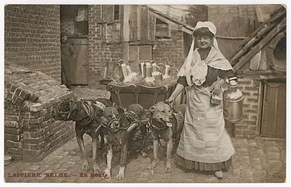Dogs Pulling Milk Cart