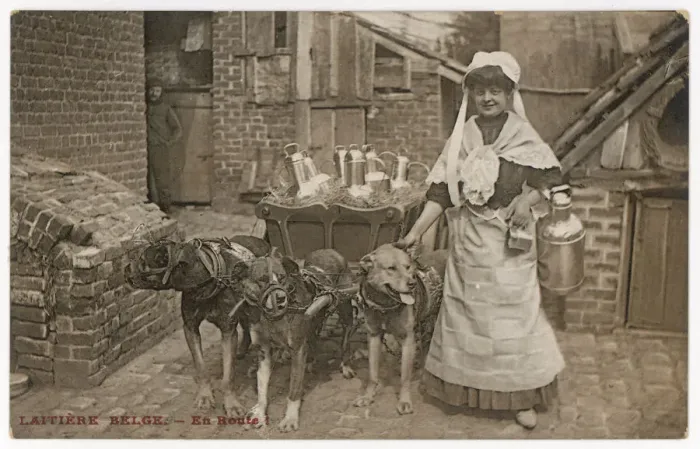 Framed Print : Dogs Pulling Milk Cart Framed Print : Dogs Pulling Milk Cart