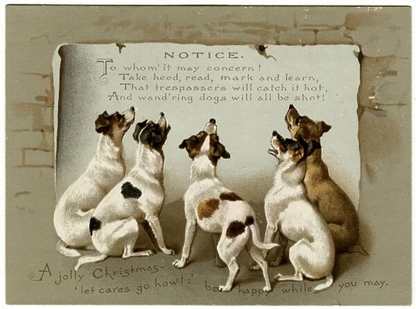 Dogs Reading Notice