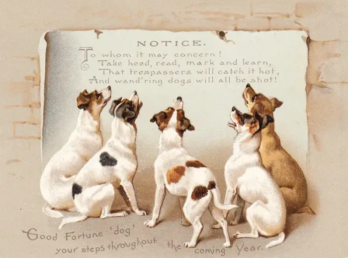 Framed Print : Five dogs reading a notice on a New Year card Framed Print : Five dogs reading a notice on a New Year card