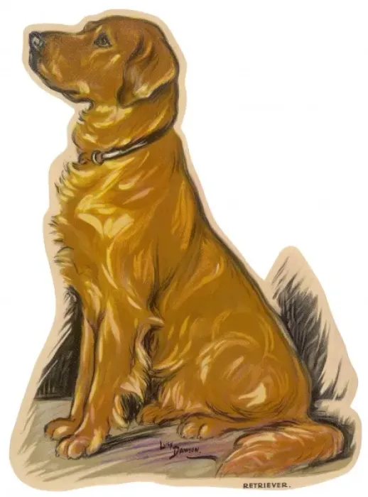 Framed Print : Dogs, Retriever, Dawson Framed Print : Dogs, Retriever, Dawson