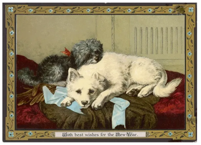 Framed Print : Dogs Sleeping Together Framed Print : Dogs Sleeping Together