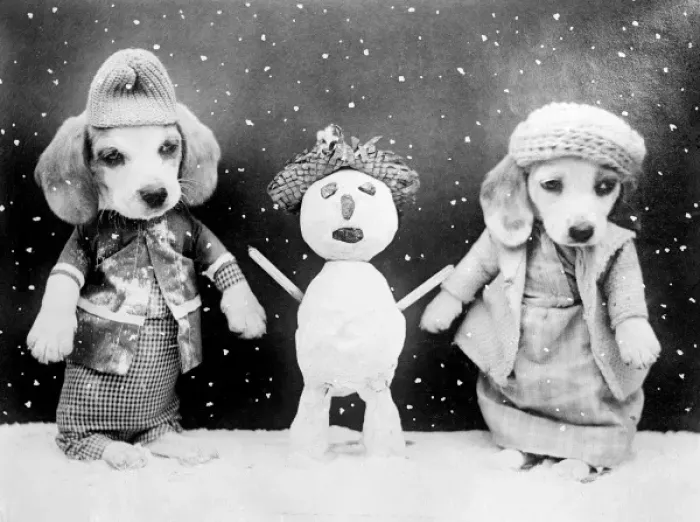 Framed Print : Two dogs and a snowman Framed Print : Two dogs and a snowman