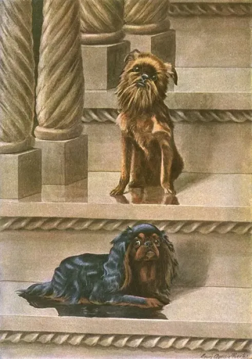 Framed Print : Two dogs on a staircase Framed Print : Two dogs on a staircase
