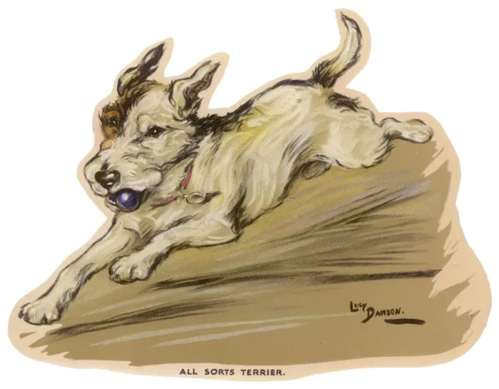 Framed Print : Dogs, Terrier, Dawson Framed Print : Dogs, Terrier, Dawson