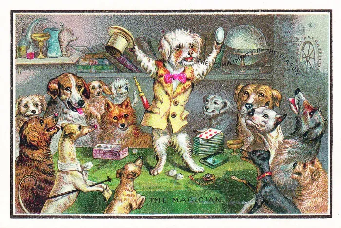 Framed Print : Dogs watching a dog magician on a Christmas card Framed Print : Dogs watching a dog magician on a Christmas card