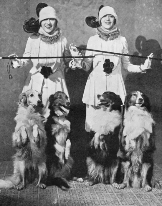 Framed Print : The Dolly Sisters with their Collies Framed Print : The Dolly Sisters with their Collies