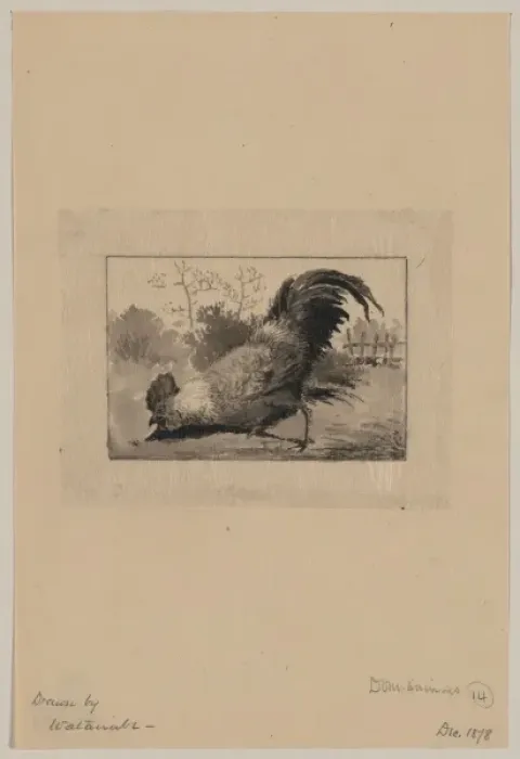 Framed Print : Dom. animals Framed Print : Dom. animals