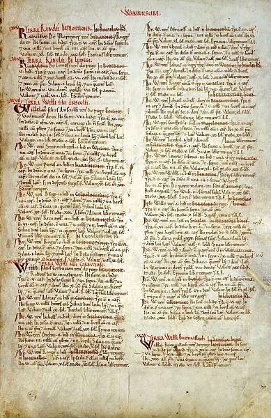 The Domesday Book, Birmingham