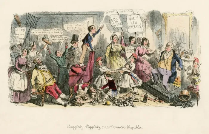 Framed Print : DOMESTIC REVOLUTION Framed Print : DOMESTIC REVOLUTION