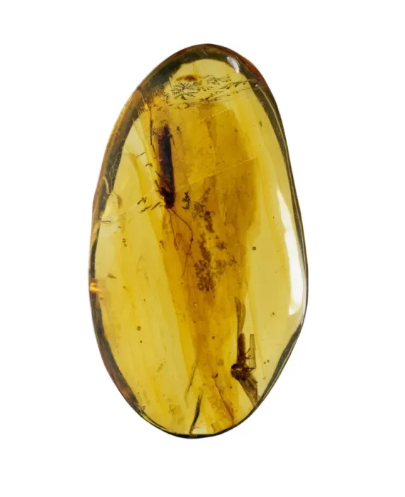 Framed Print : Dominican amber Framed Print : Dominican amber