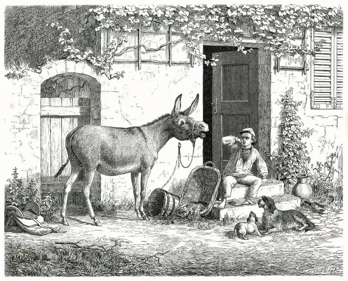 Framed Print : When a donkey brays, humans clap their hands to their ears and even dogs look up in surprise Date: 1863 Framed Print : When a donkey brays, humans clap their hands to their ears and even dogs look up in surprise Date: 1863