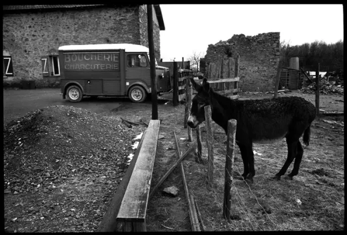 Framed Print : Donkey and butchers van, Northern, France