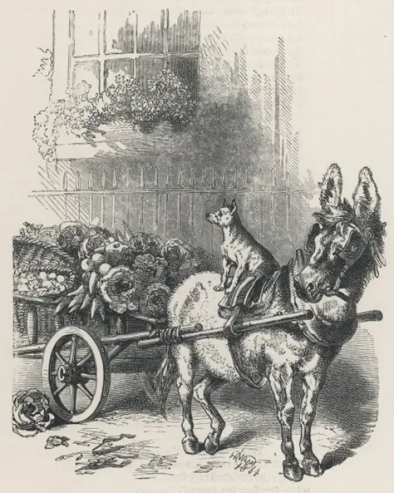 Framed Print : Donkey / Cart / Dog 1896 Framed Print : Donkey / Cart / Dog 1896