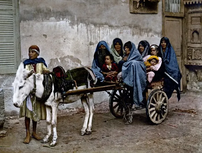 Framed Print : Donkey cart, Egypt, circa 1890s Framed Print : Donkey cart, Egypt, circa 1890s