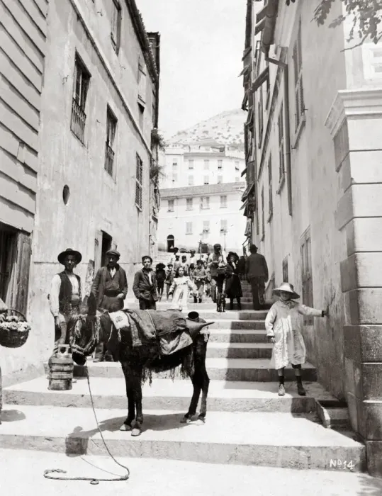 Framed Print : Donkey in Gibraltar street, c. 1890 s Framed Print : Donkey in Gibraltar street, c. 1890 s