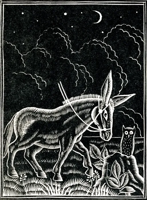 Framed Print : Donkey and owl at night