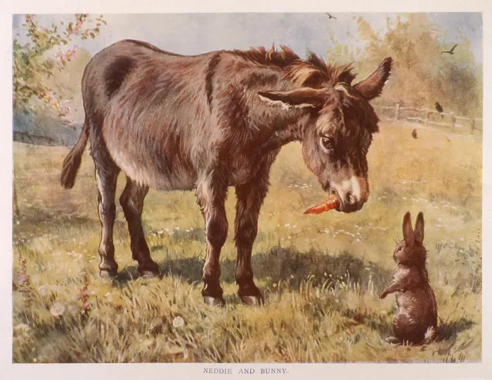 Framed Print : A donkey and a rabbit converse in a field. Date: 1890s Framed Print : A donkey and a rabbit converse in a field. Date: 1890s