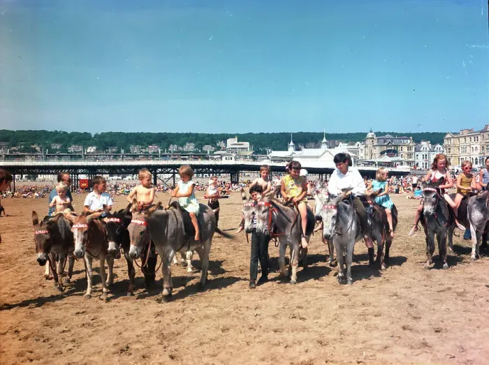 Framed Print : Donkey rides on the sands, Weston-super-Mare Framed Print : Donkey rides on the sands, Weston-super-Mare