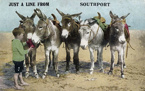 Donkeys on the beach at Southport, Cheshire (Merseyside)
