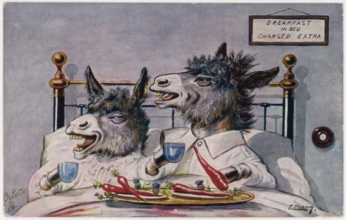 Framed Print : Donkeys Breakfast in Bed Framed Print : Donkeys Breakfast in Bed