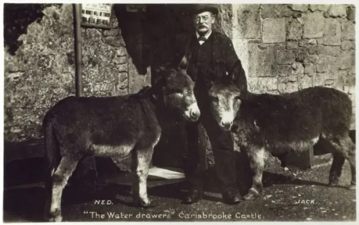 Framed Print : The Donkeys of Carisbrooke Castle Framed Print : The Donkeys of Carisbrooke Castle