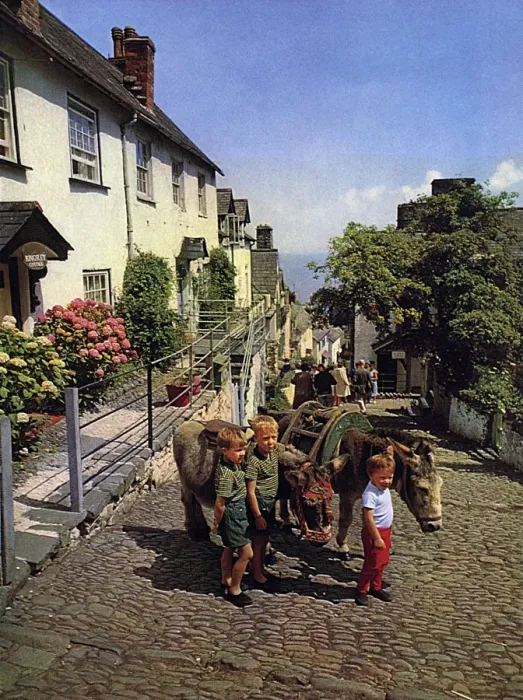 Framed Print : Donkeys at Clovelly, Devon Framed Print : Donkeys at Clovelly, Devon