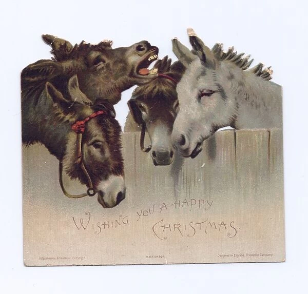 Four donkeys on a cutout Christmas card