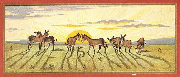 Donkeys in a field on a Christmas card