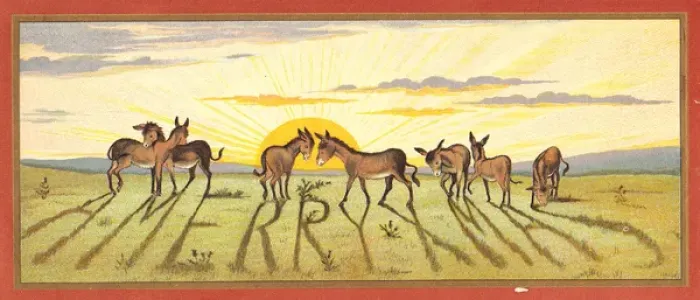 Framed Print : Donkeys in a field on a Christmas card Framed Print : Donkeys in a field on a Christmas card