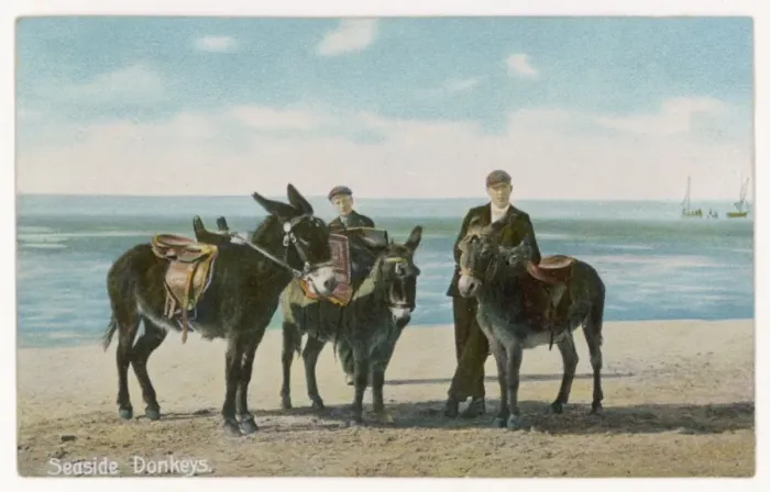 Framed Print : Donkeys Waiting Framed Print : Donkeys Waiting