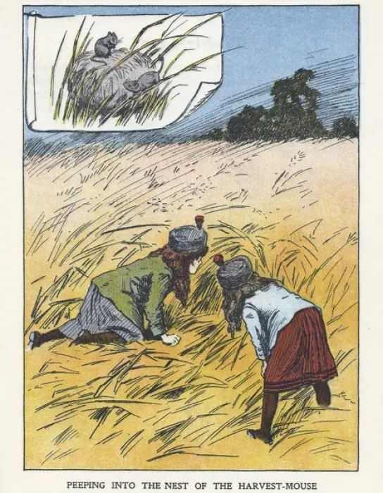 Framed Print : Out of Doors -- two girls in a field Framed Print : Out of Doors -- two girls in a field